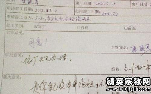 公司員工辭職報(bào)告大全(公司員工評(píng)語(yǔ)大全)