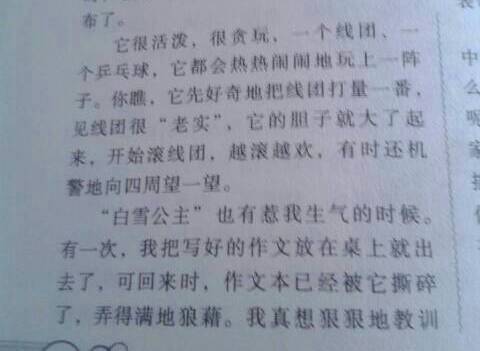 那個(gè)可愛的她作文開頭