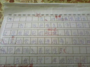 寫事的作文開頭字多一點(diǎn)