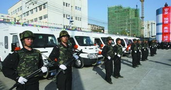 武裝押運(yùn)年終總結(jié)(武裝押運(yùn)員工年終總結(jié))