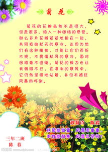 以關(guān)于菊花謎語開頭的作文