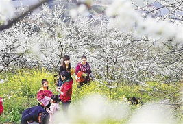 春暖花開我的世界作文開頭