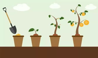 小學(xué)成長(zhǎng)的經(jīng)歷作文600字作文開頭