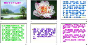 常見(jiàn)作文開頭ppt