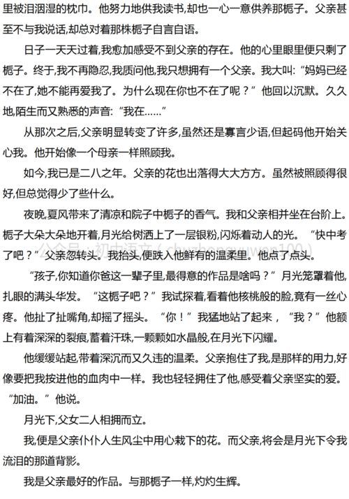 最好的,作文,開頭,作品