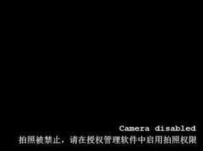 三后的我初一作文開頭