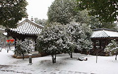 第一場(chǎng)雪作文開(kāi)頭250字