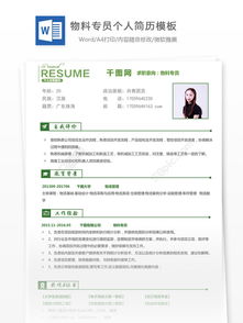 稅審專員簡(jiǎn)歷范文()