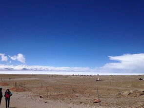 總是忘不了那片風景作文開頭