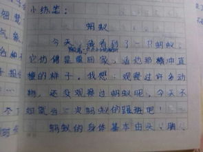 變形記作文六級螞蟻開頭