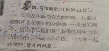 以生命為圓的作文800字作文開頭