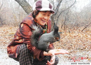 人與動(dòng)物自然和諧作文(人與自然和諧共生作文)