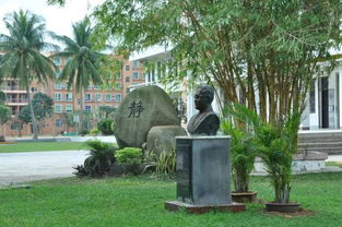 校園一角400字作文開頭