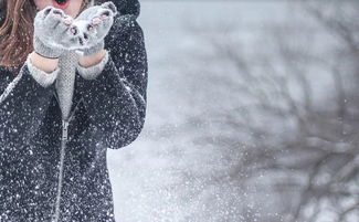 學校的冬天作文600字作文開頭