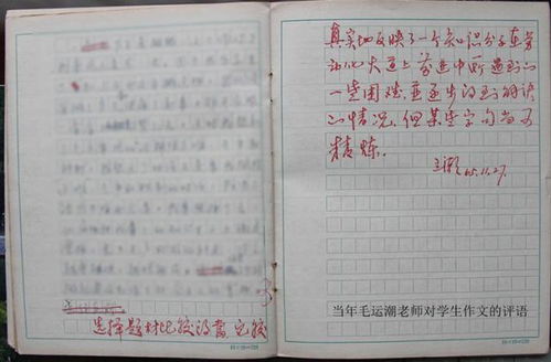 我為創(chuàng)文盡點力作文開頭