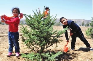 那一抹難忘的記憶作文開頭