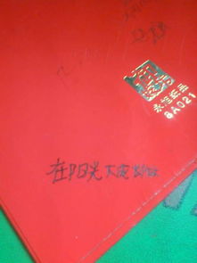 陽光下的成長作文最佳開頭結(jié)尾