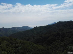 金秋時節(jié)作文開頭