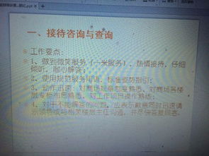 市場(chǎng)專員轉(zhuǎn)正工作報(bào)告()