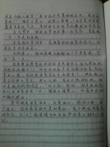 落葉也美麗記敘文800字作文開頭怎么寫