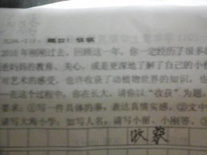 收獲快樂(lè)開(kāi)頭800字作文高中作文