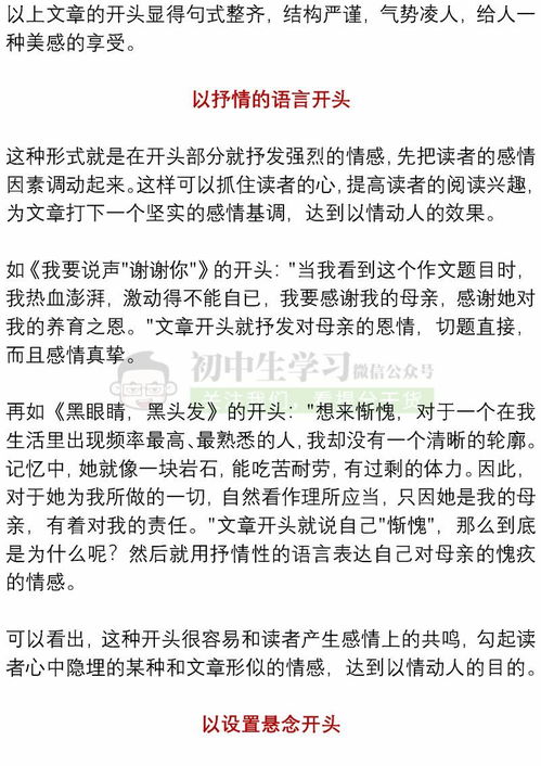 關于我得到了理解的作文500字作文開頭