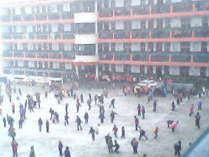 今冬的第一場雪作文開頭