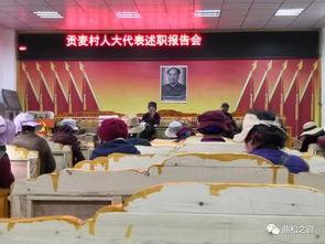 村書記縣人大代表述職報告(村書記述職報告、村書記述職報告范文、村書記述職報告精選)