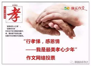 我孝心我感恩作文開頭結(jié)尾