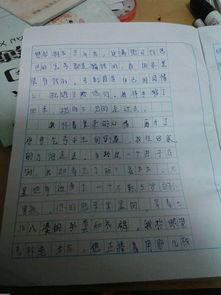 想起這件事我真感動(dòng)作文600字作文開頭