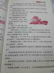 姐妹情作文開頭結尾