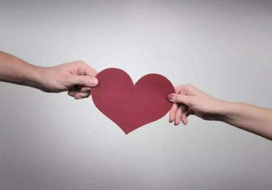 關(guān)于獻(xiàn)愛心的作文獻(xiàn)愛心(關(guān)于獻(xiàn)愛心的作文獻(xiàn)愛心)