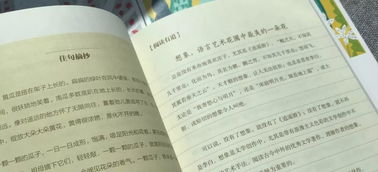 作文開頭唯美句子摘抄大全
