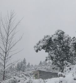 關于描寫雪的作文開頭與結尾,描寫雪的作文開頭怎么寫,描寫雪的作文開頭排比句