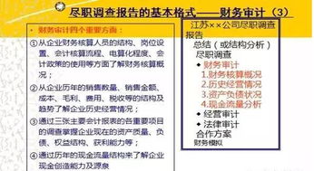 企業(yè)財務(wù)盡職調(diào)查報告標(biāo)準(zhǔn)范文(企業(yè)財務(wù)盡職調(diào)查報告)