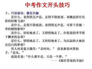 有這樣一種滿足作文開頭結(jié)尾