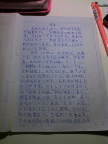 談爸爸媽媽的愛作文500字作文開頭