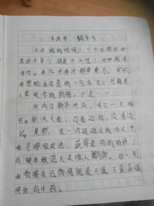 作文兩百字開頭