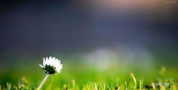 關(guān)于景物的擬人句(關(guān)于景物的擬人句)