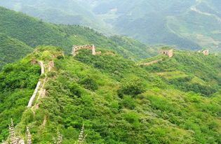 關(guān)(想過就業(yè)關(guān)，先過用“字”關(guān))