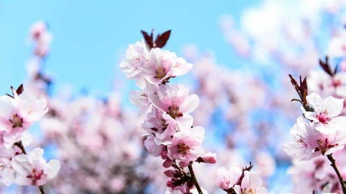 生活中的那一個(gè)瞬間作文開(kāi)頭