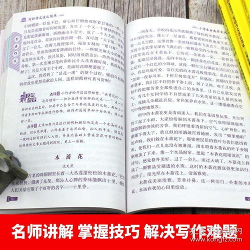 小學三級通用的作文開頭