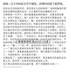 記一次活動(dòng)作文開(kāi)頭簡(jiǎn)單點(diǎn)