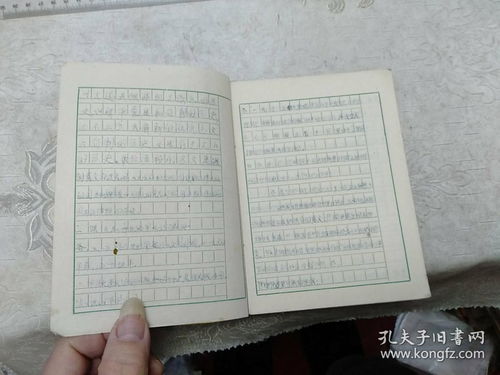 什么了的作文600字作文開頭怎么寫