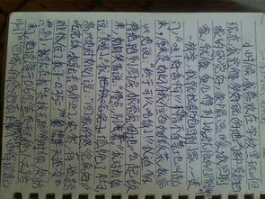 友情讓我快樂500字作文開頭結(jié)尾