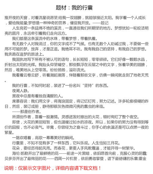 我的行囊作文開頭結(jié)尾