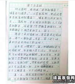 對春的感悟作文600字作文開頭