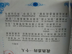 自己馬虎的作文開頭