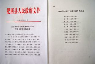 行政服務窗口工作總結(jié)(服務窗口收費員工作總結(jié))