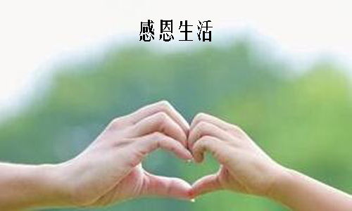 感謝生活有你600字作文開(kāi)頭